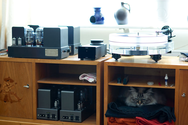 vinylkatt2.jpg