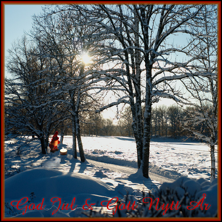xmas2010.jpg